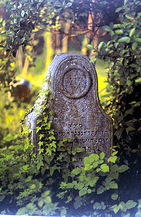 Beispiel für ein Grab im Friedwald