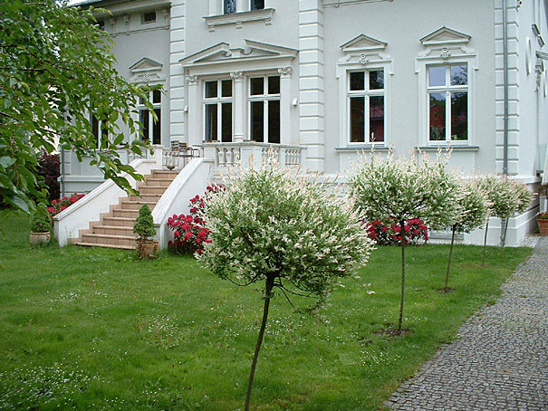 Bestandsaufnahme, Vermessung und Neugestaltung eines Privatgartens, Potsdam